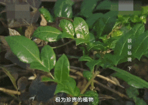 反诈警示图片