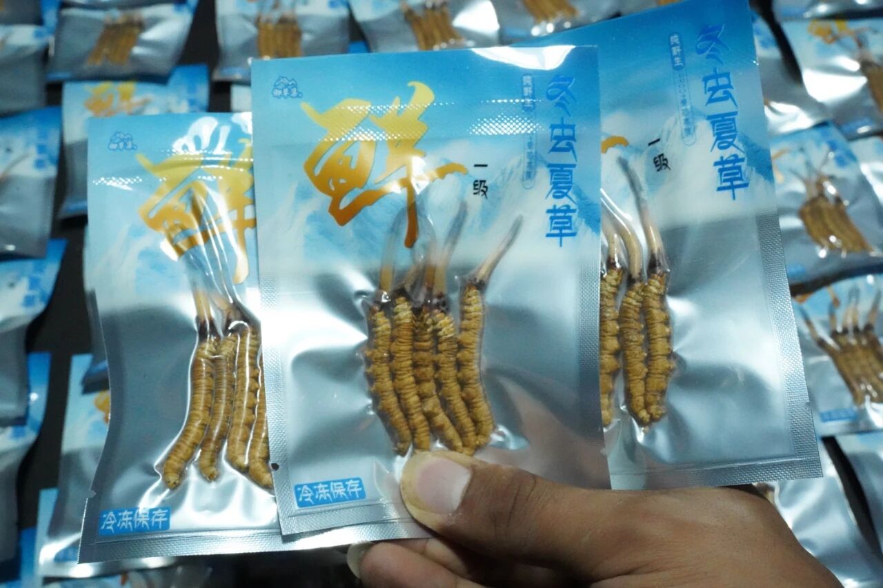反诈警示图片