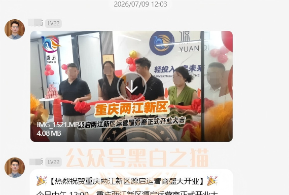 原文相关图片5